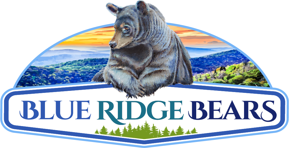 blue ridge bears